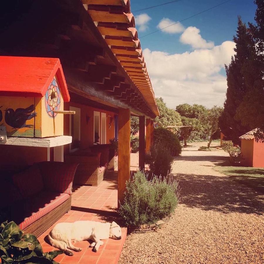 Monte Da Xica - Somente Adultos Guest House Zambujeira do Mar Eksteriør bilde
