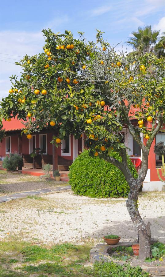 Monte Da Xica - Somente Adultos Guest House Zambujeira do Mar Eksteriør bilde